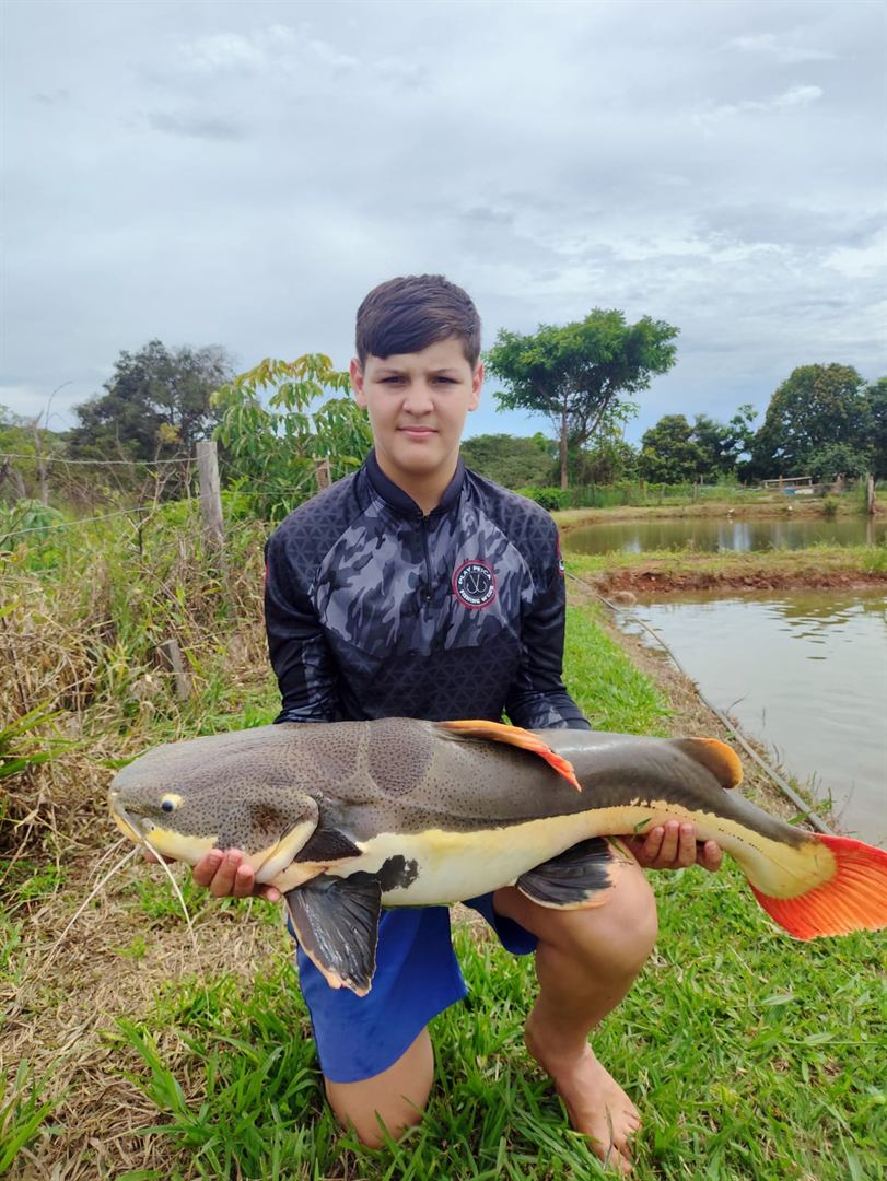 Pirarara com cauda avermelhada fisgada no Recanto
