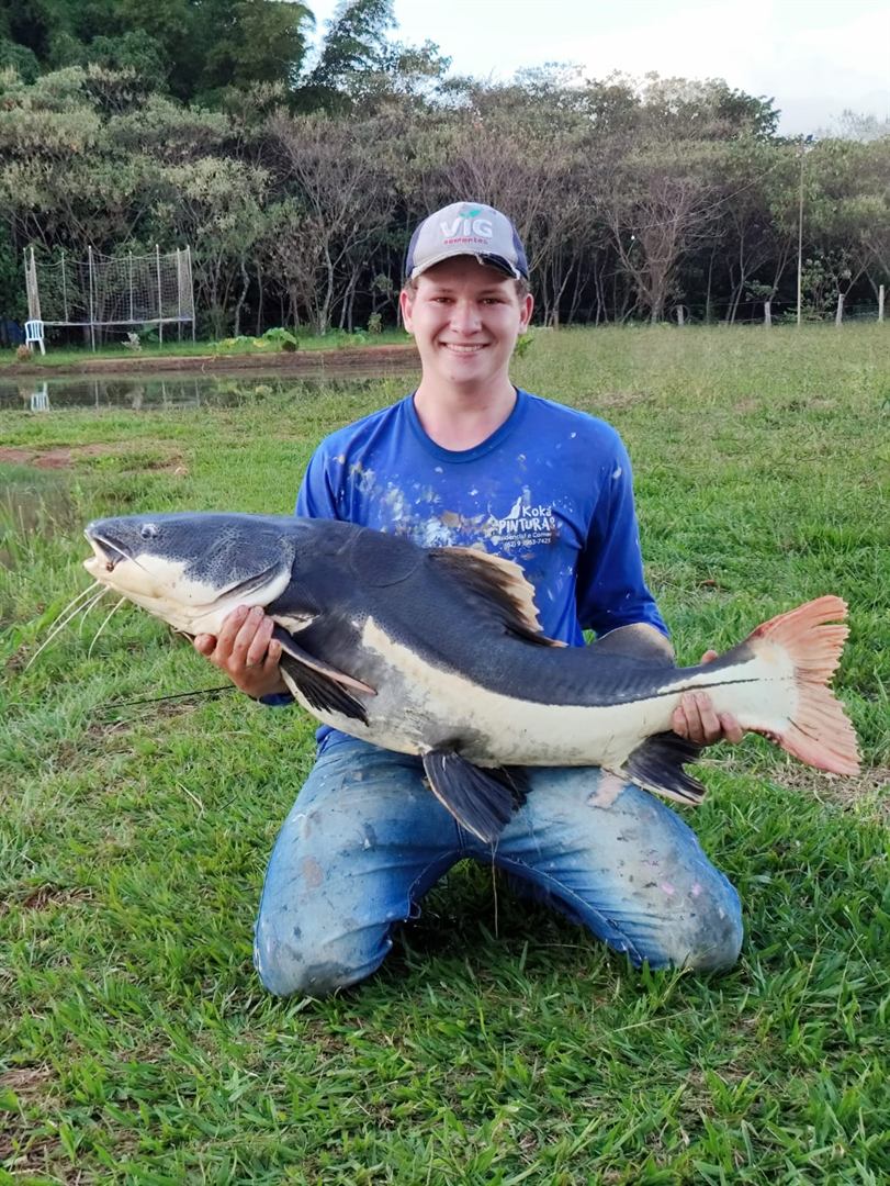 Pescador com Pirarara enorme no gramado