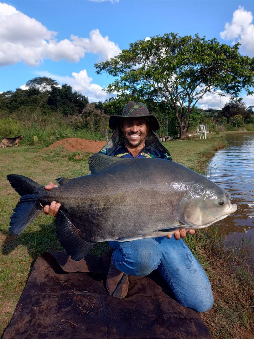 Pescador com Tambaqui gigante no Recanto da Pirarara